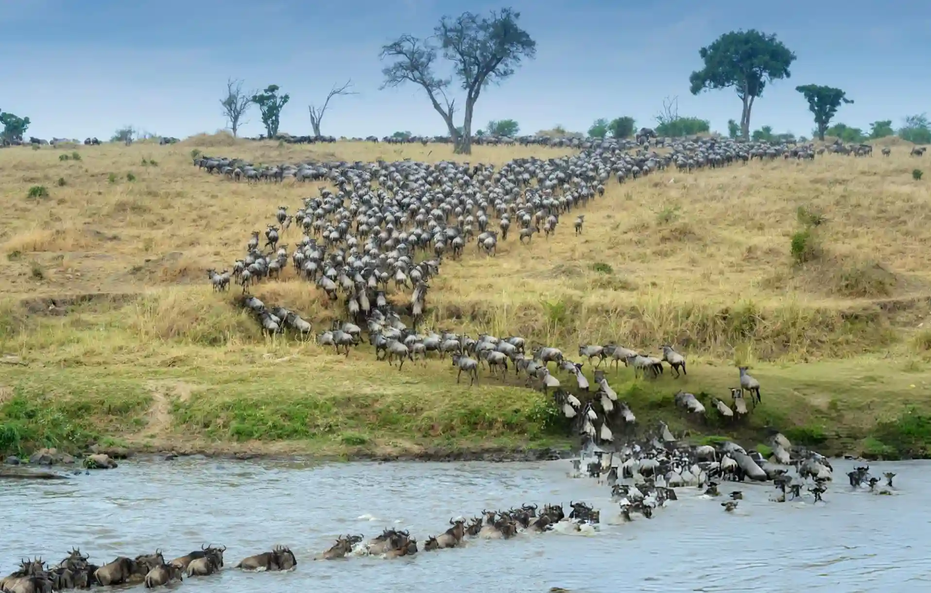 Luxury safari lodge setting in Maasai Mara Kenya