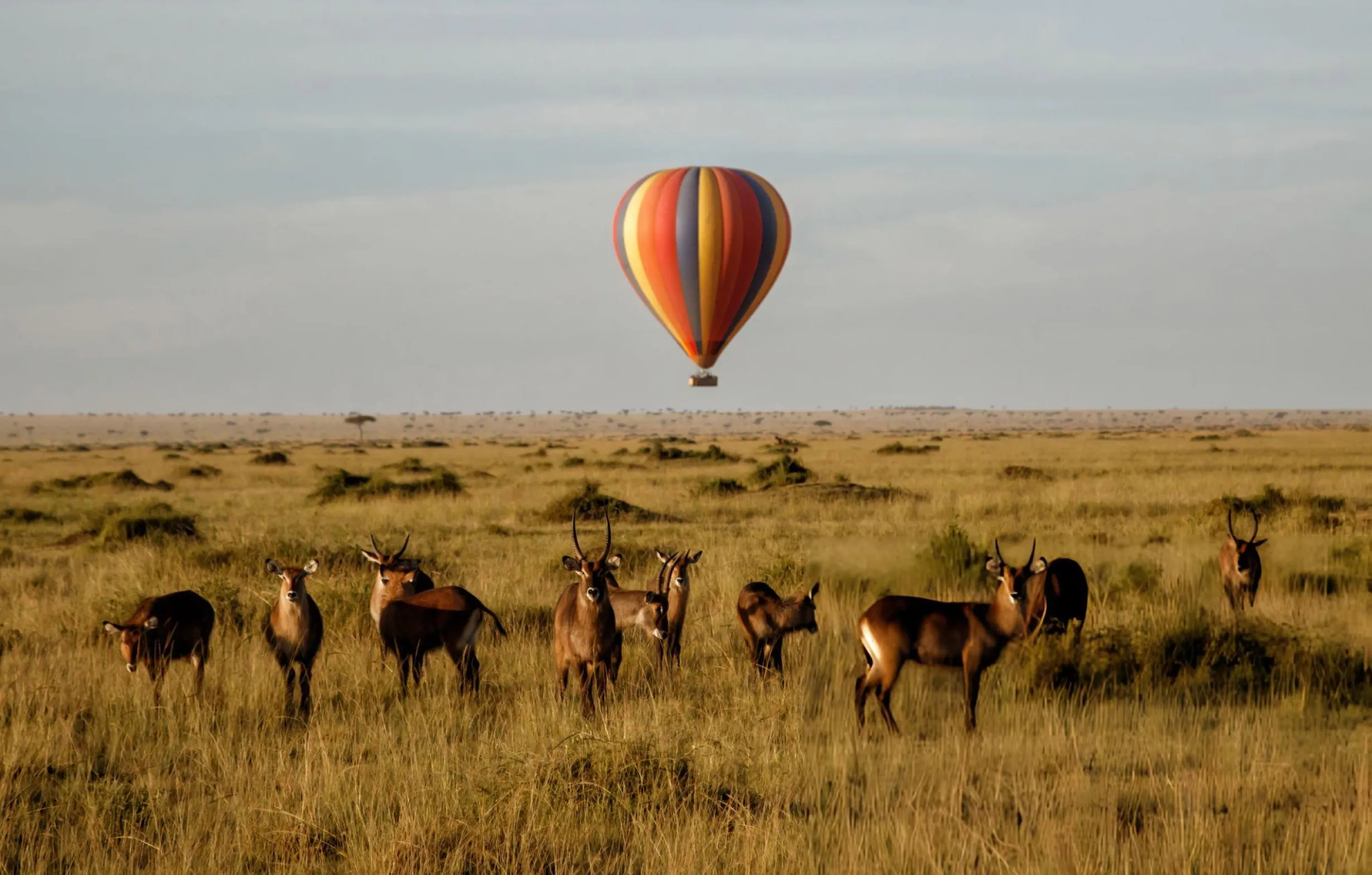 Private safari landscape in Samburu Kenya