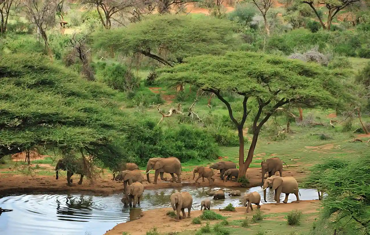 Exclusive safari landscape in Samburu Kenya