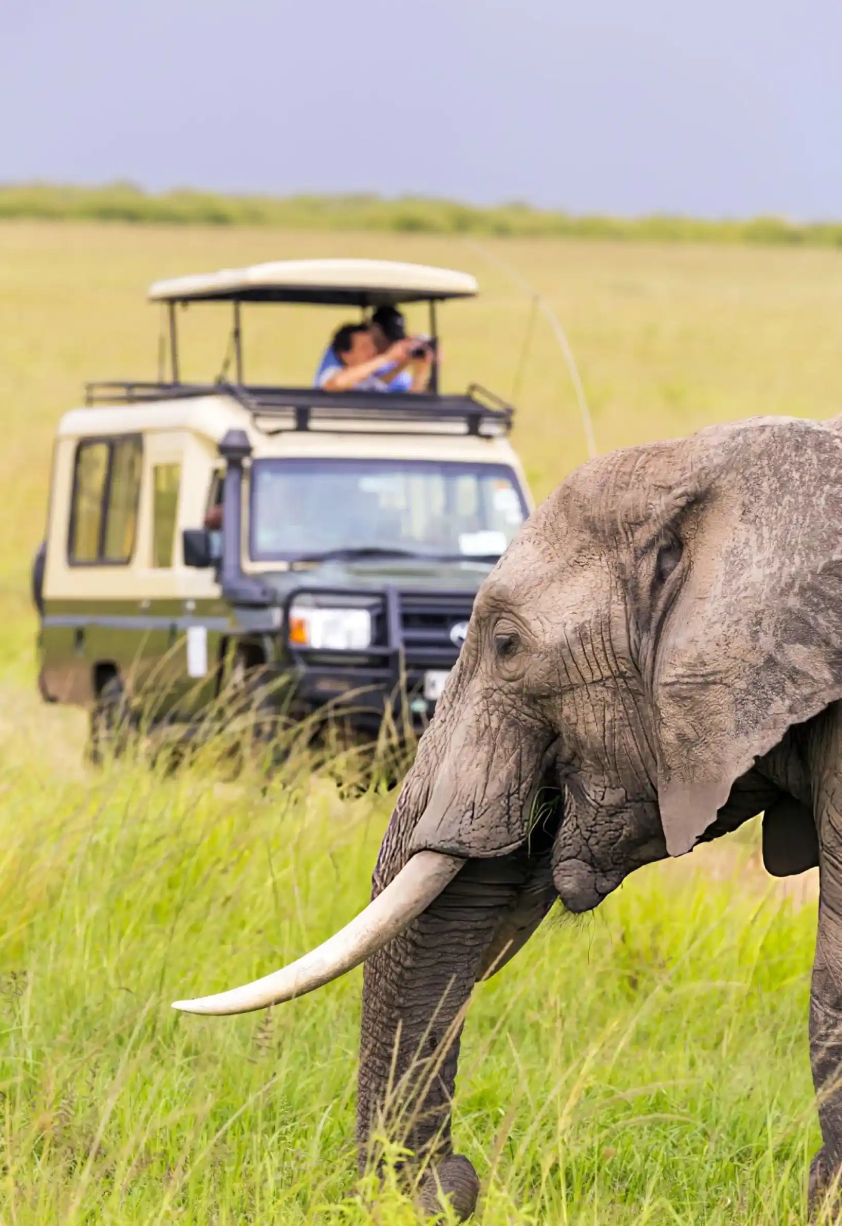 Private luxury safari guests in Kenya