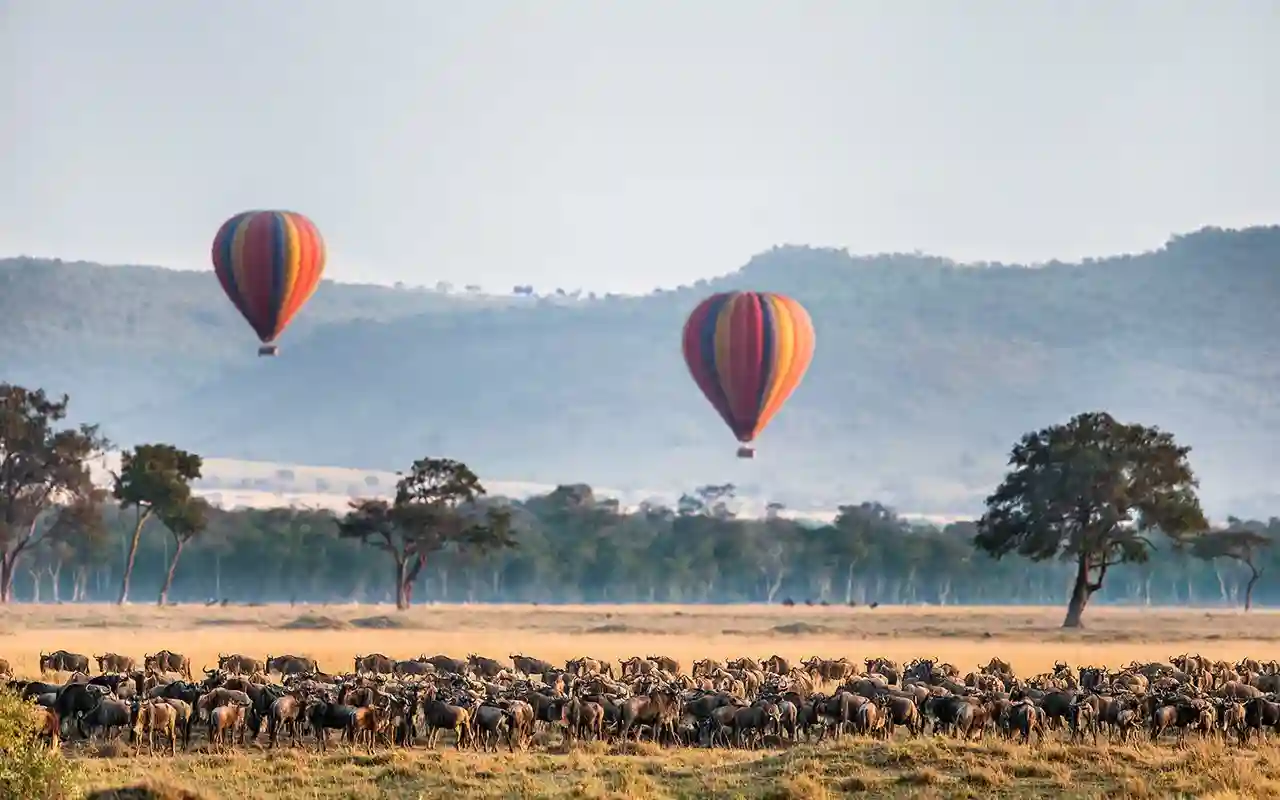 Scenic Air Flights Over Kenya: A Guide to Luxury Private Charters image